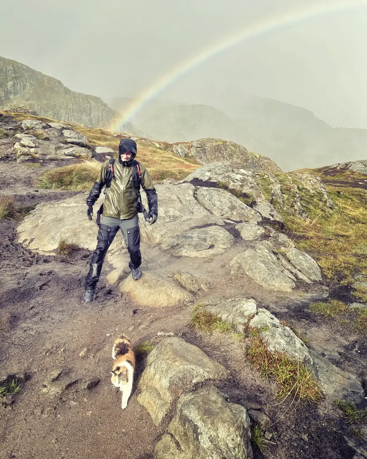 Being guided down the mountain Ryten by a friendly cat